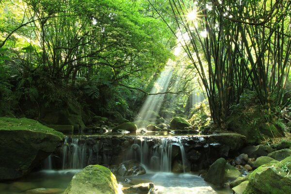 Sonnenstrahl am Waldfall