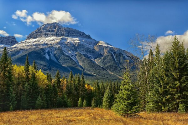 Rocky Mountains National Park in Canada among forest trees