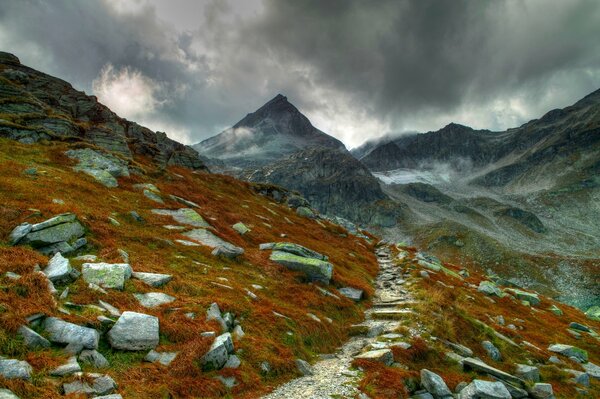 Bellissimo paesaggio di sentieri tra i fossili