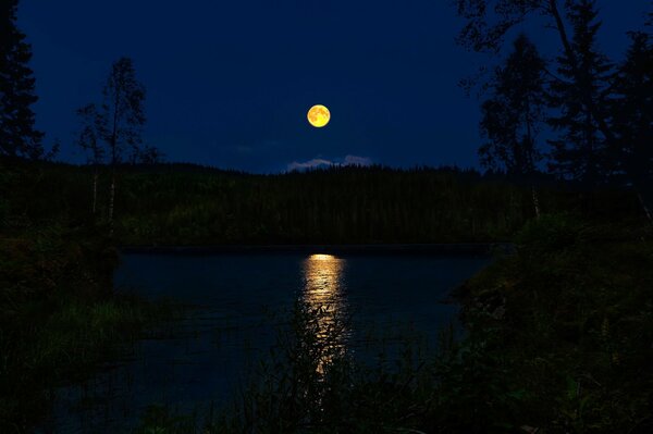 Full moon over the forest and lake