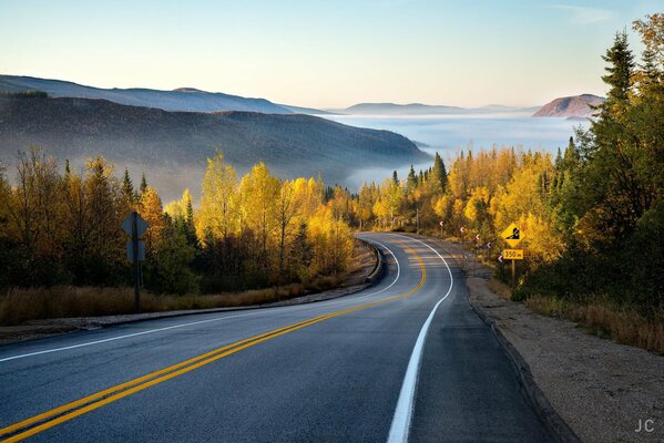 Autumn road to a bright forest with a haze