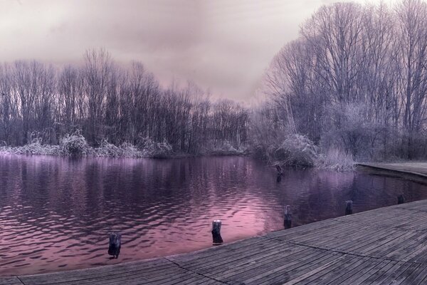 Pier on the background of the lake with the reflection of the forest