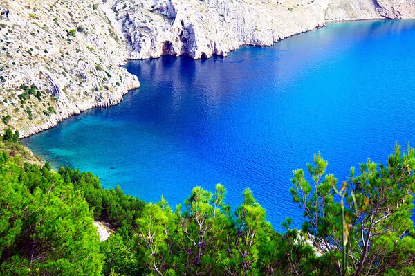 Błękitne jezioro otoczone górami i lasem