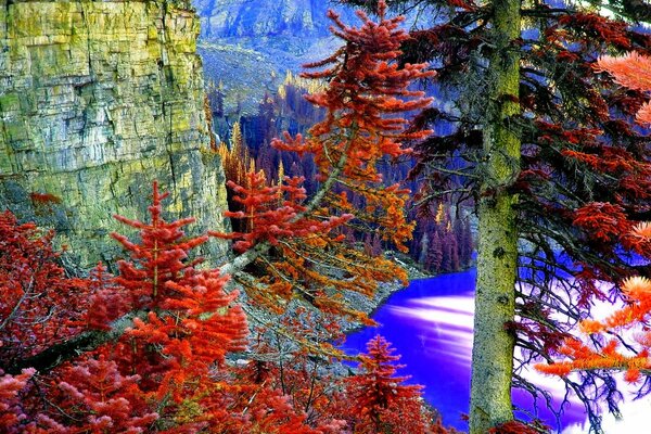 Inusual bosque rojo cerca de un lago de montaña