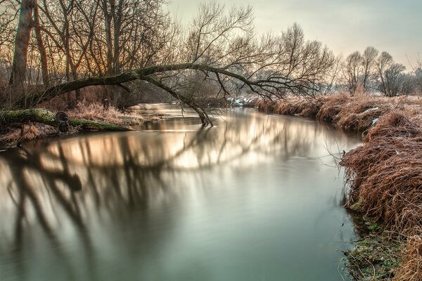 Alba mattutina sulla riva del fiume