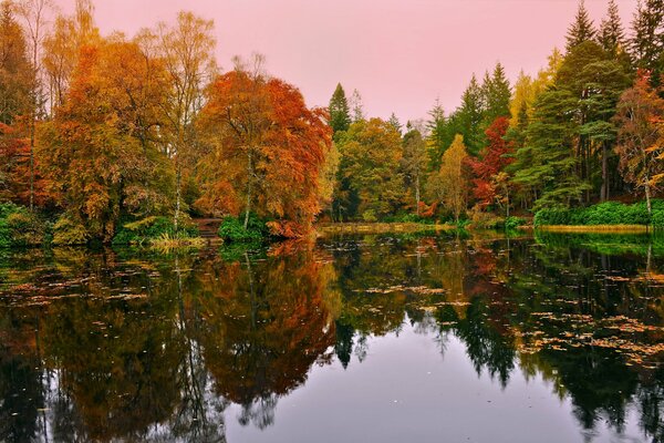 Hermoso bosque de otoño alrededor del lago