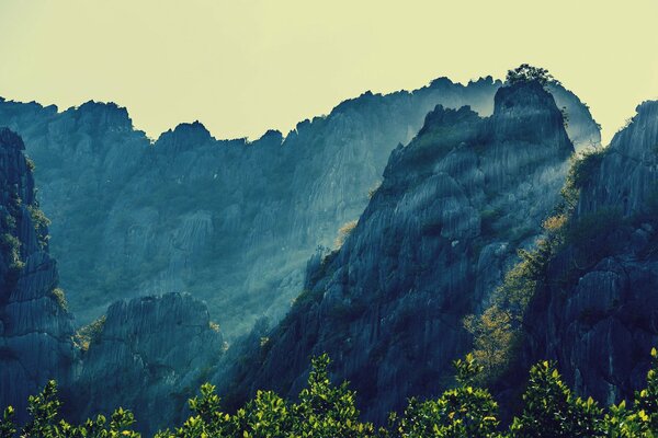 Alberi e cielo nelle montagne della Thailandia