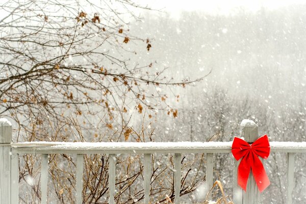 A red bow sets off the winter pacage