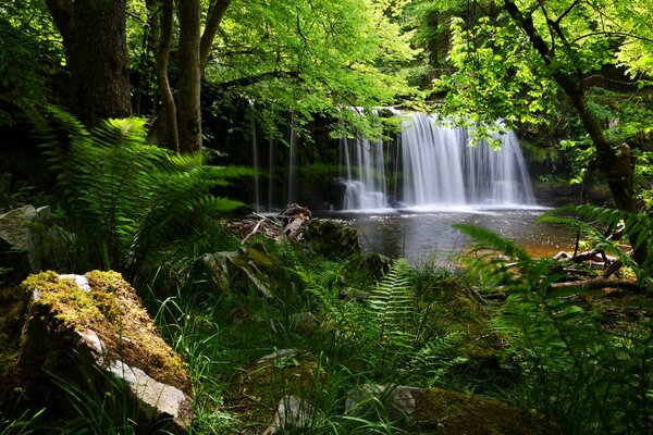 Un parque nacional en Inglaterra tiene una cascada en el bosque