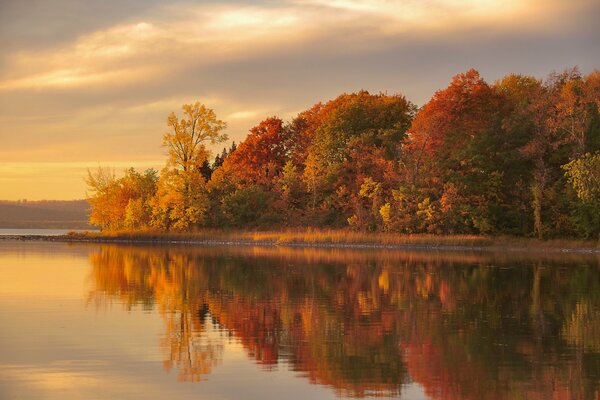 Reflection of the autumn forest in the lake