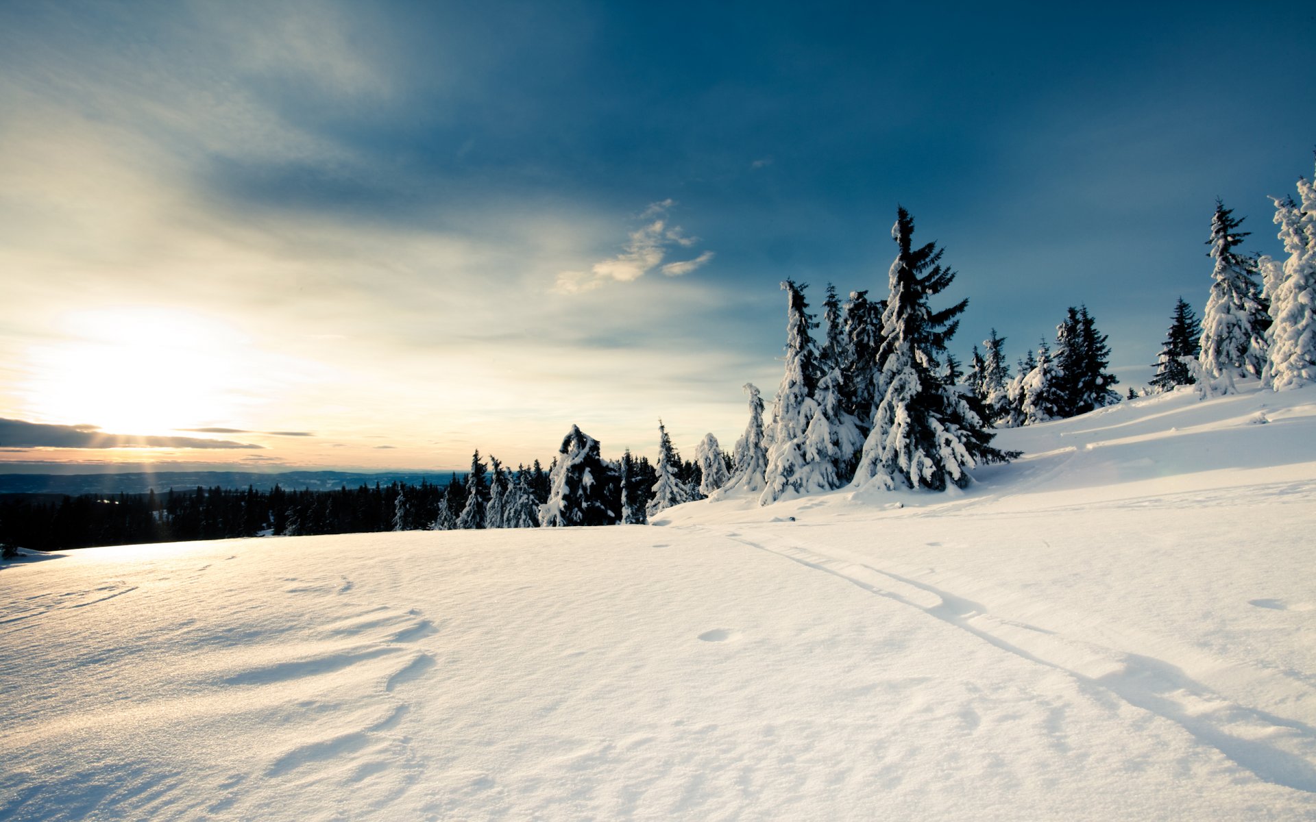 schnee winter wald himmel