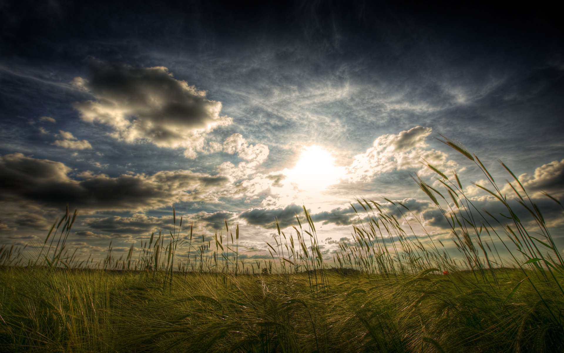 feld ohr landschaft