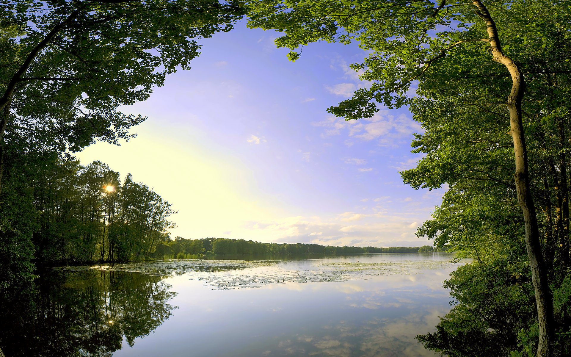 lake tree cloud