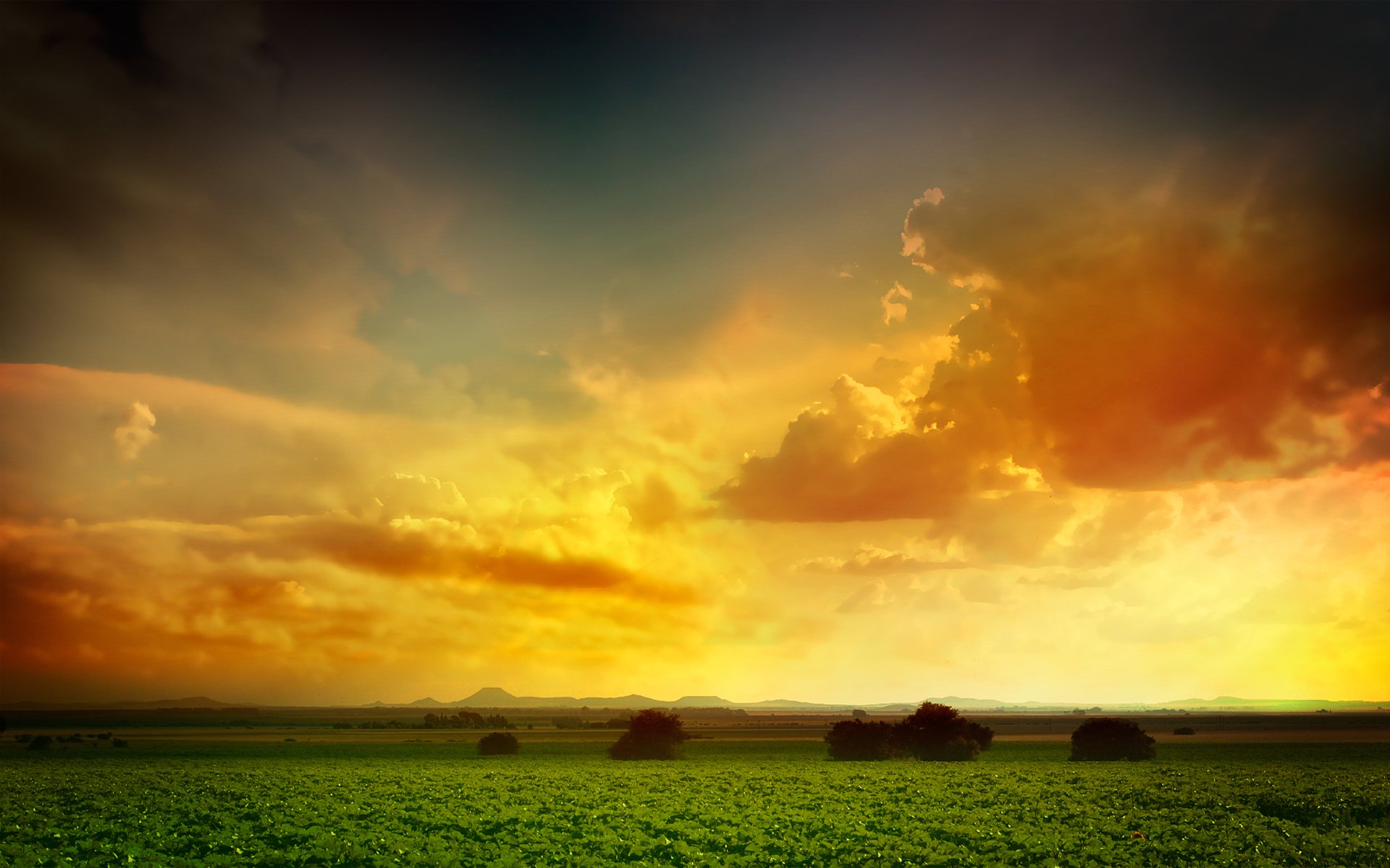 nuages verdure arbres champ