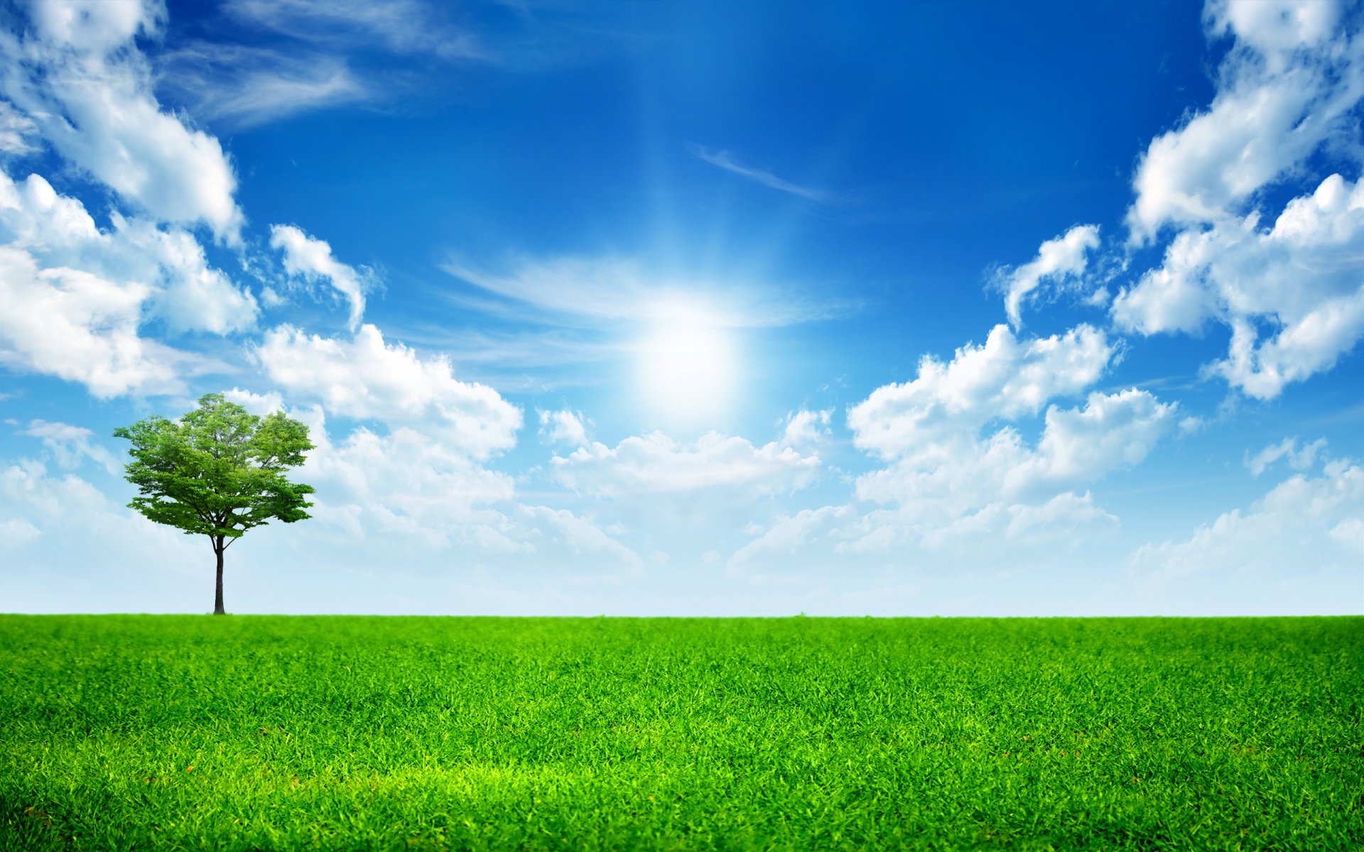 tout le monde est seul dans ce monde herbe vert paysage ciel soleil arbres nuages arbre