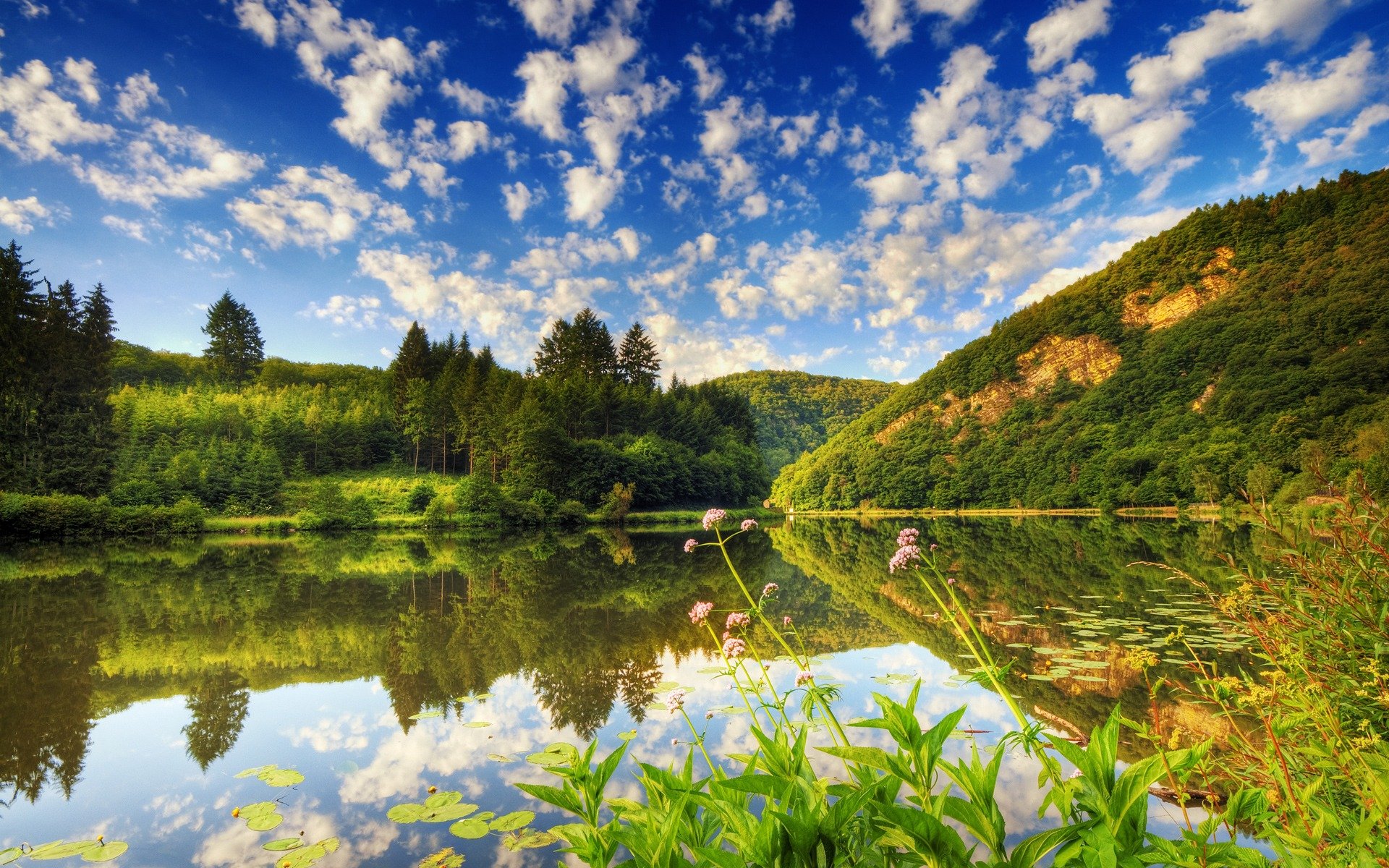 lago alberi nuvole