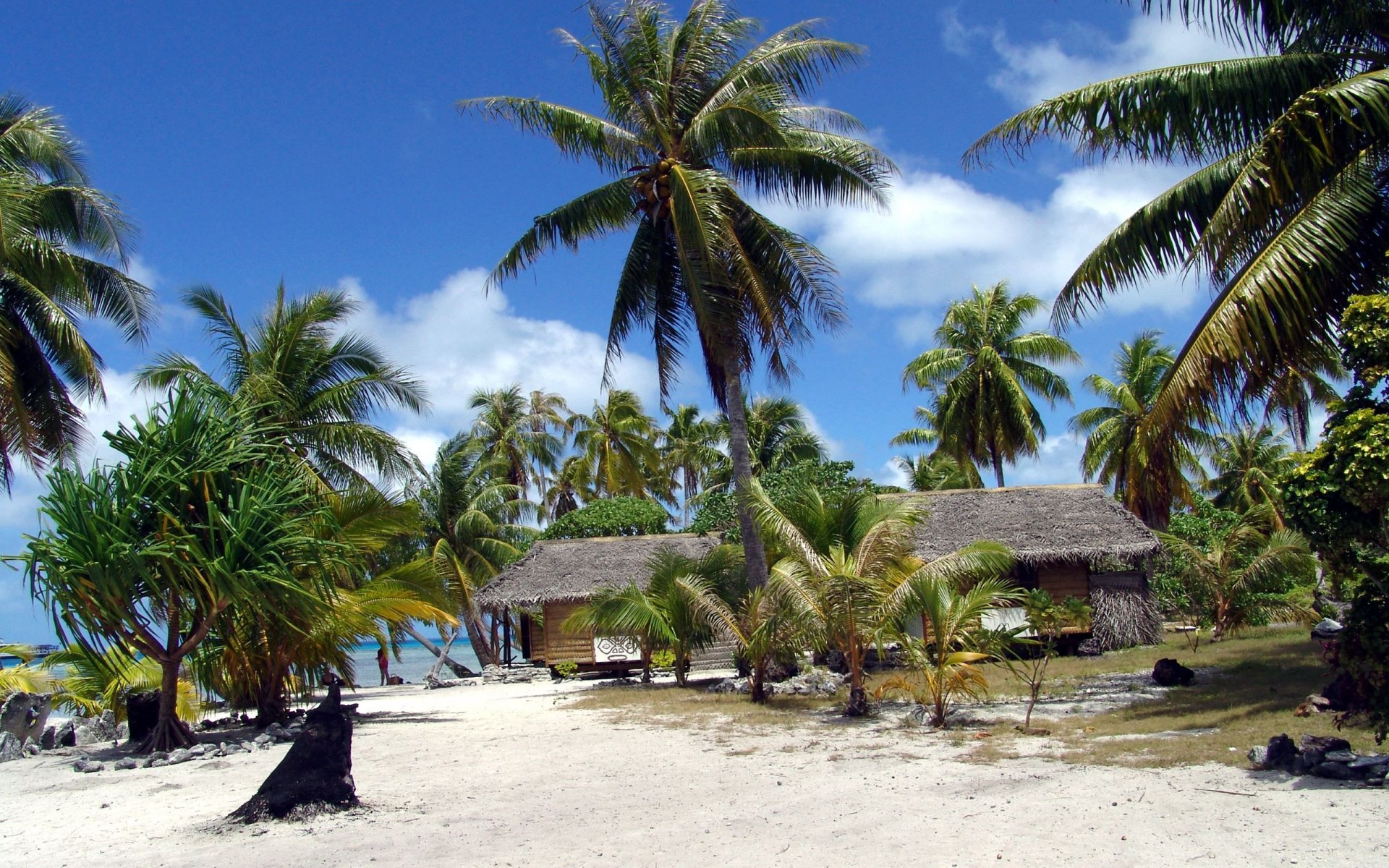 spiaggia polinesia francese palme