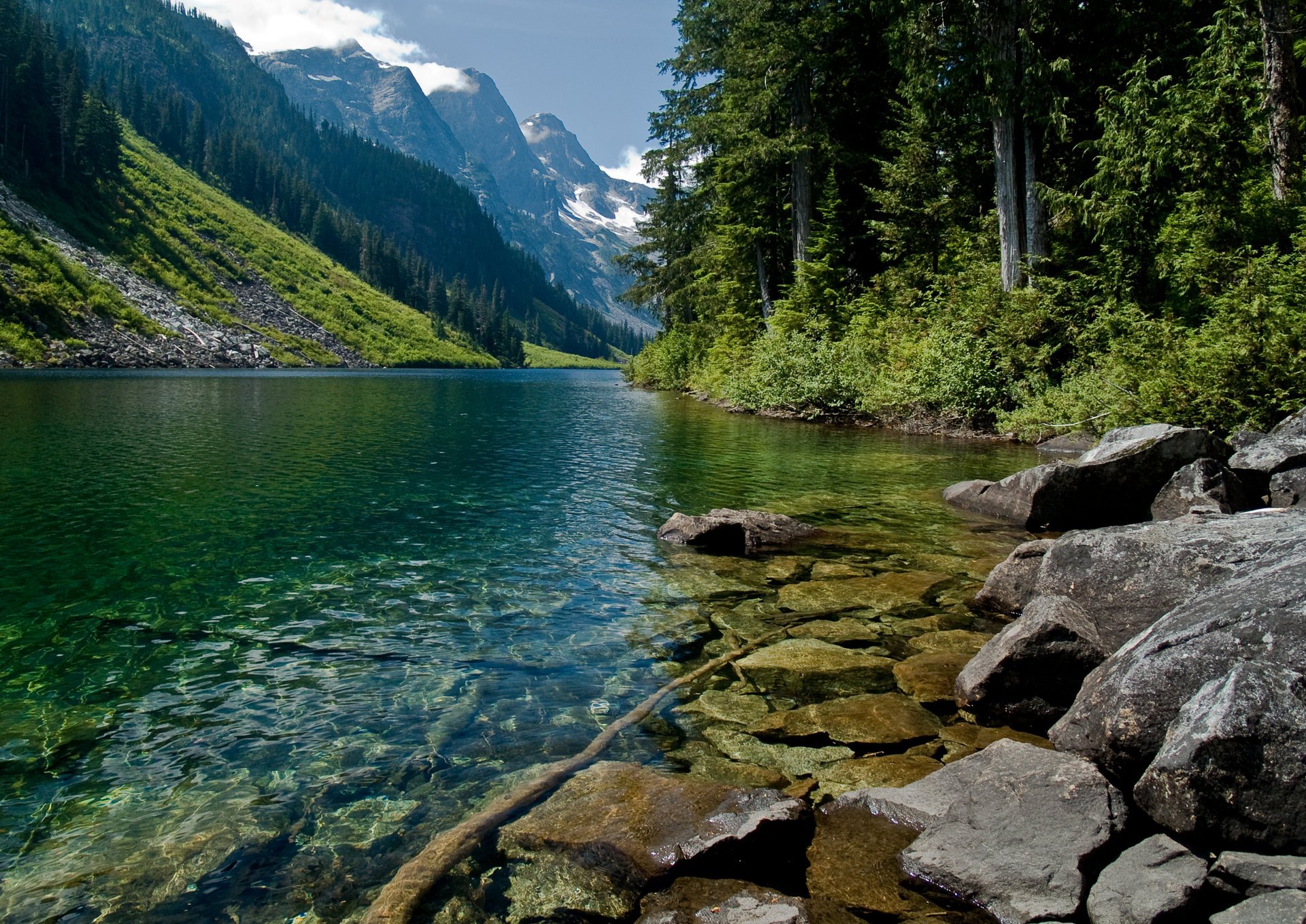 berge bäume bergfluss wasser natur