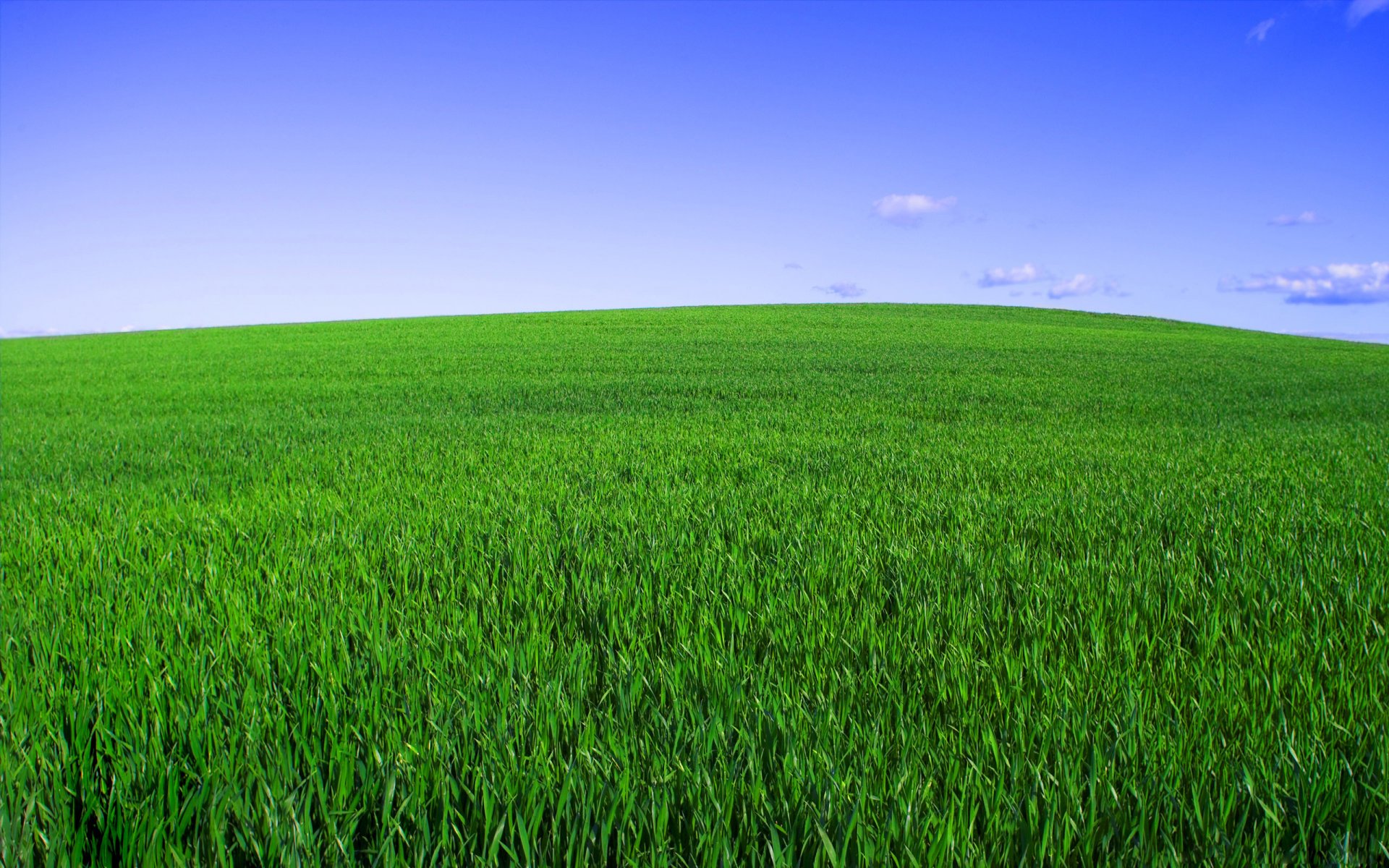 erba campo cielo orizzonte