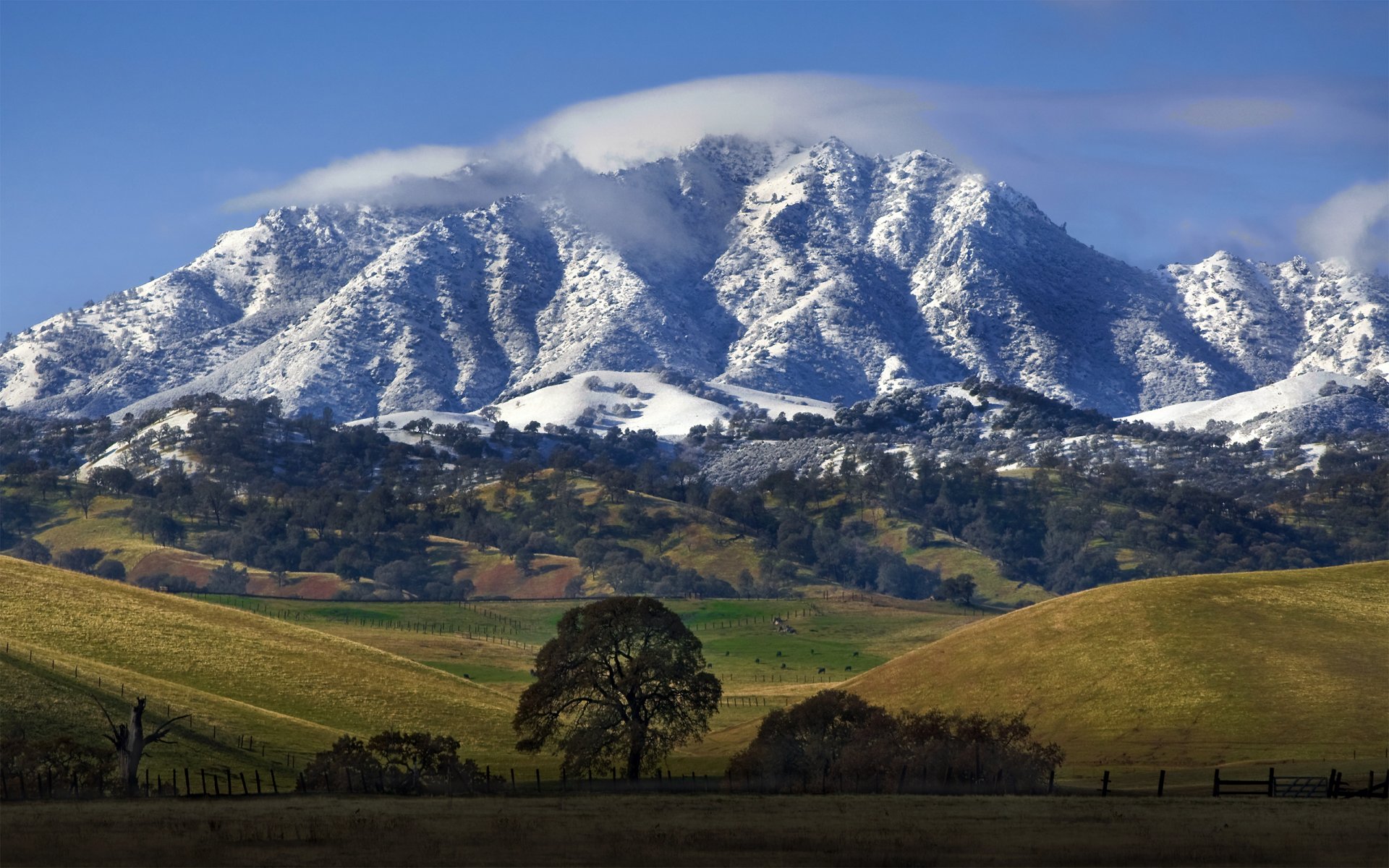 californie montagne nature