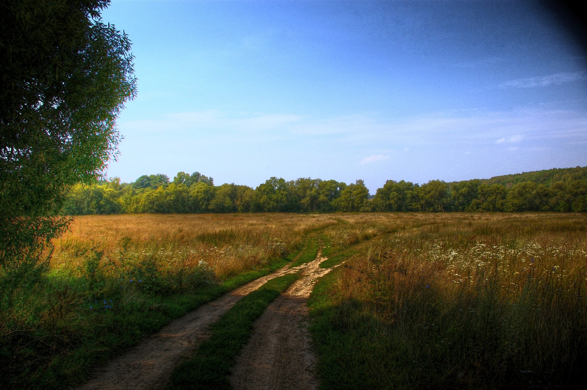 route paysage hdr