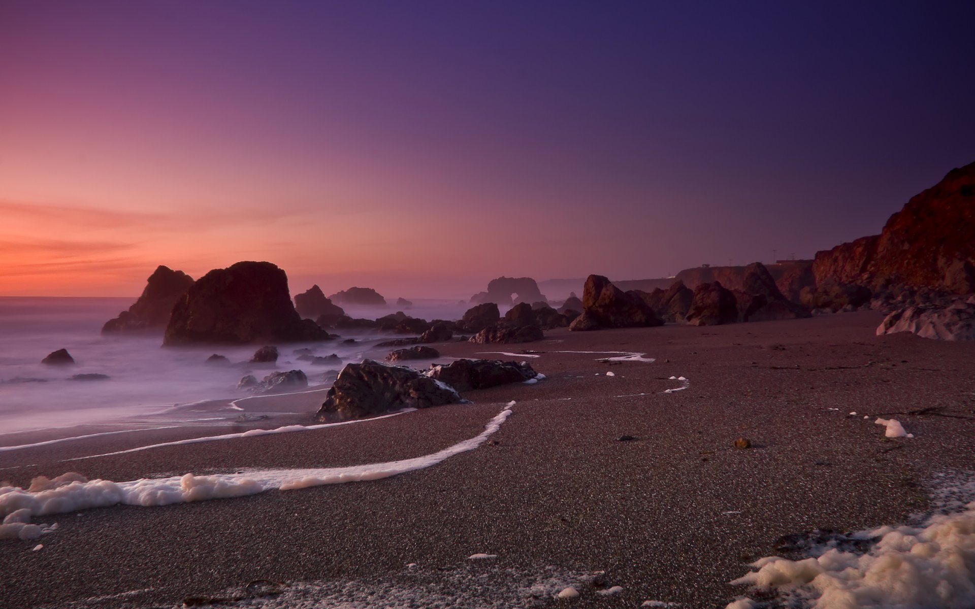 mousse de mer bodega bay californie océan roches sable plage