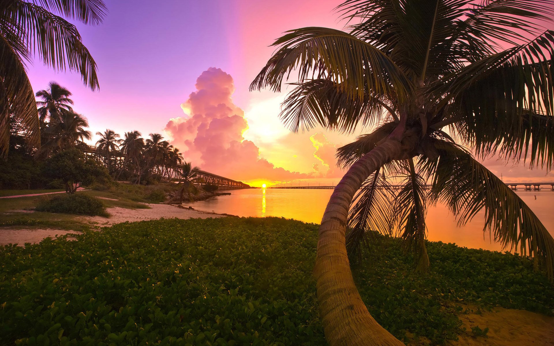 florida palma sunset