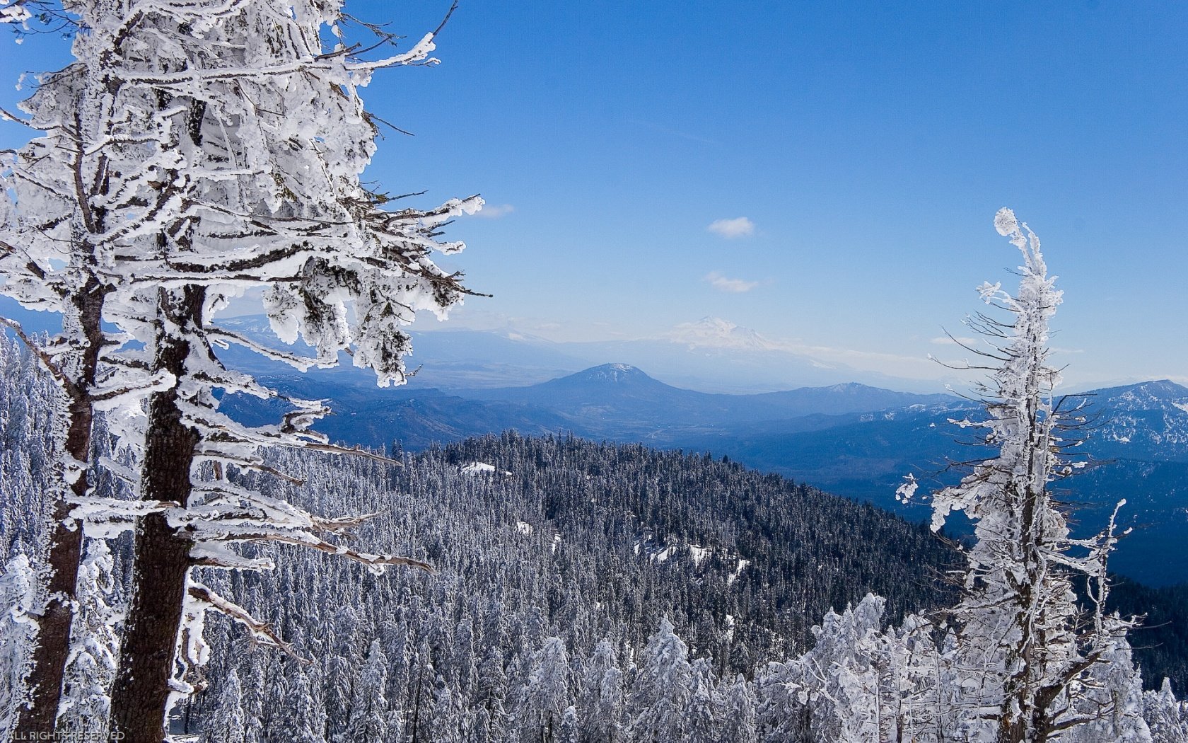 montagnes forêt hiver