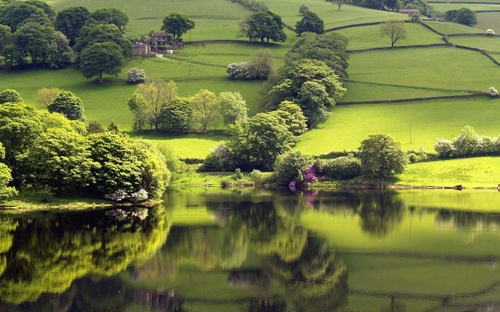 verdure réflexion lac