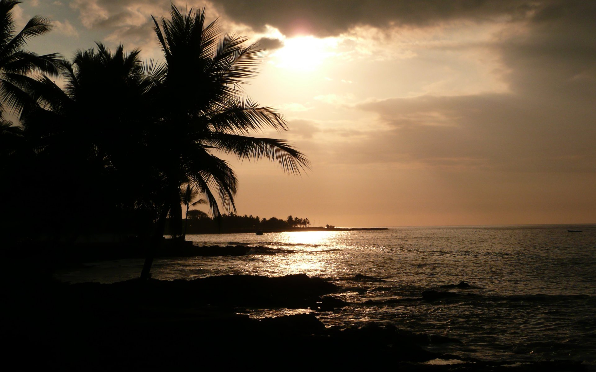 beach sea sport