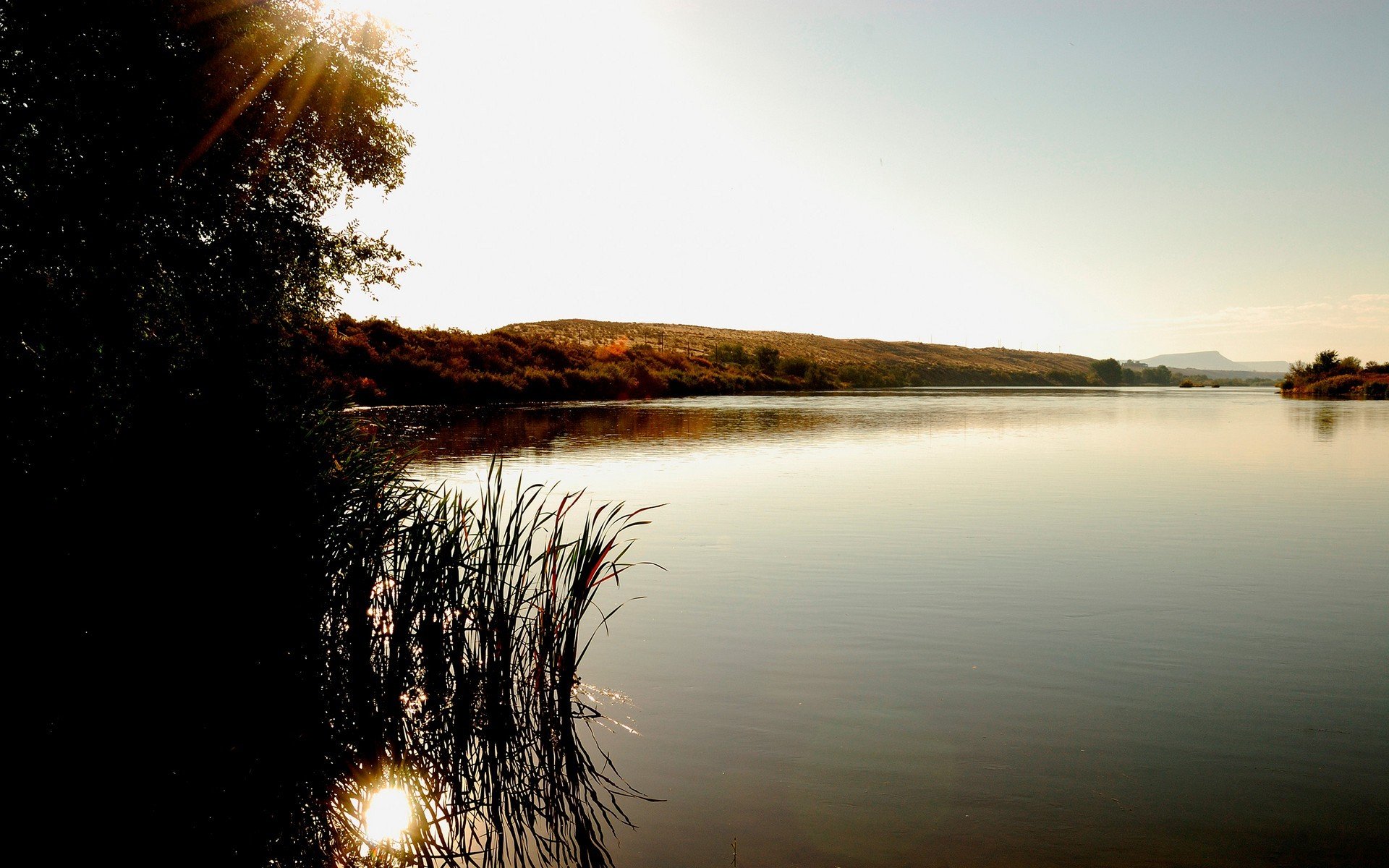 lake bush tree hills sun