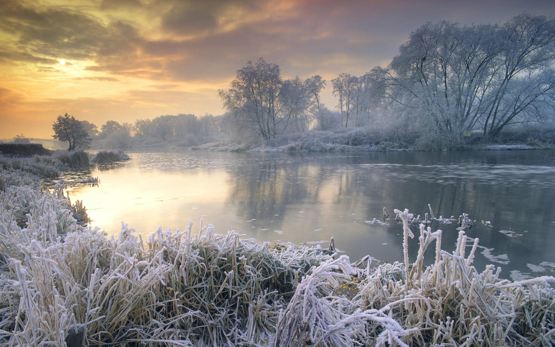 winter lake frost