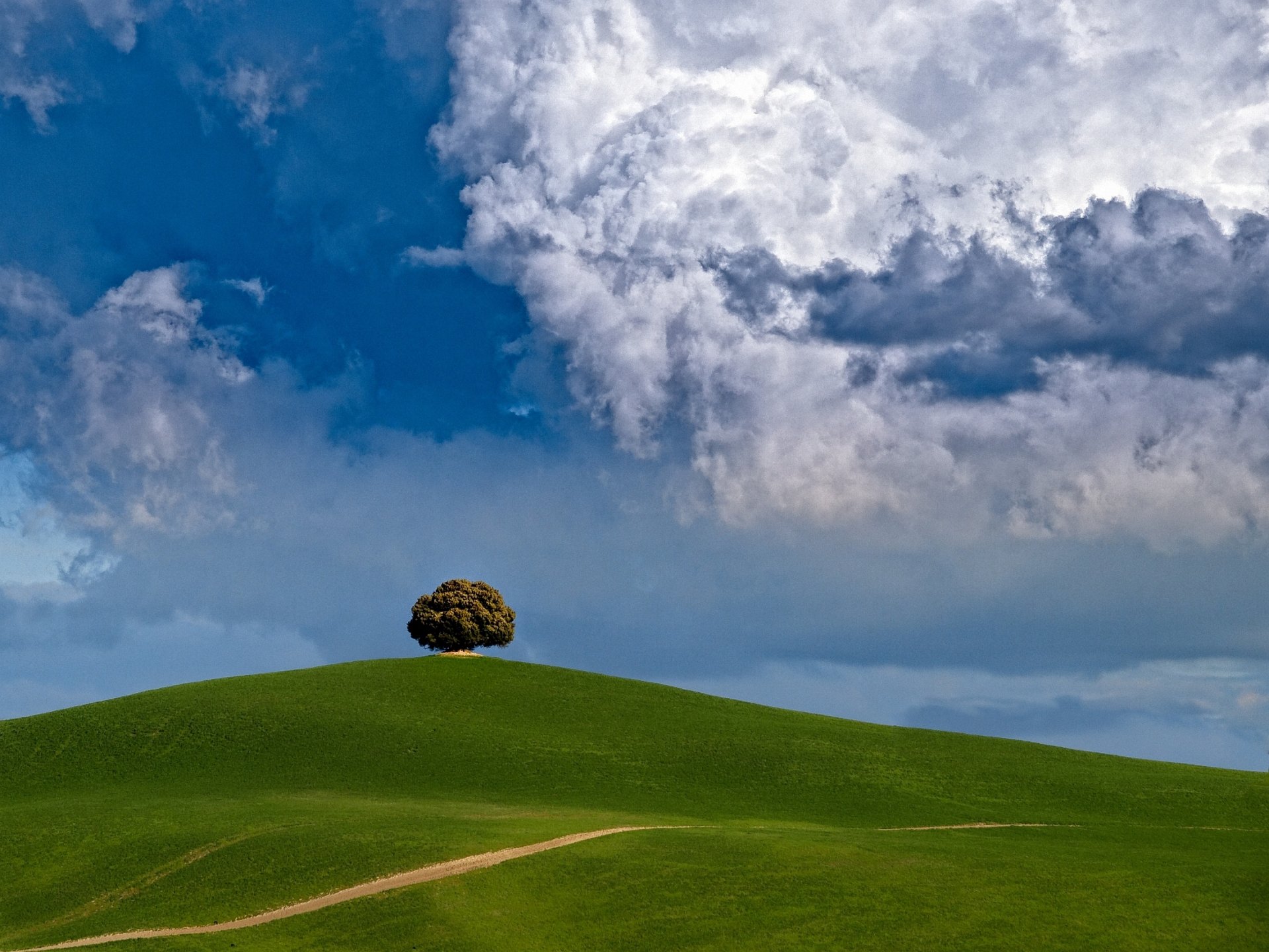 hügel baum wolken