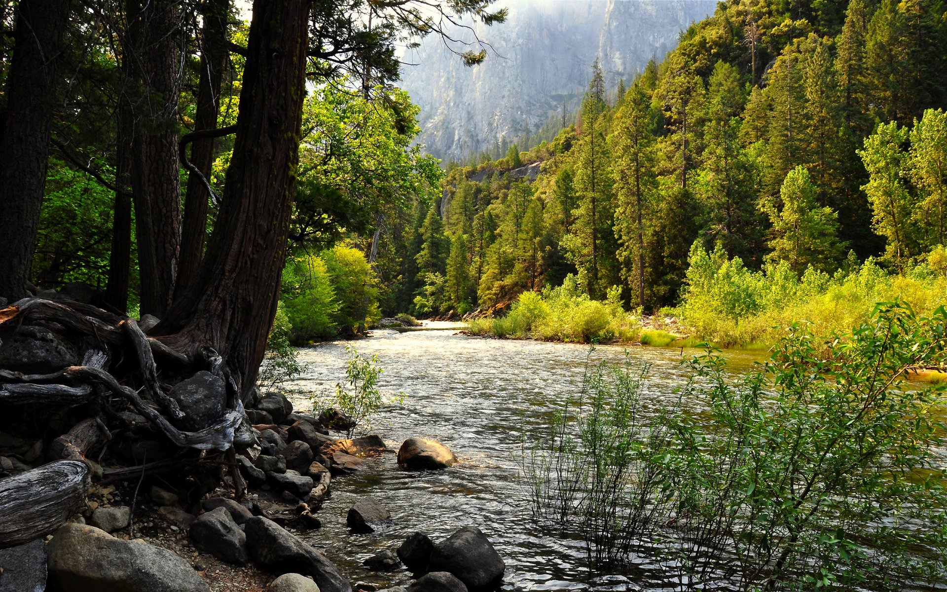 états-unis forêt lac californie yosemite