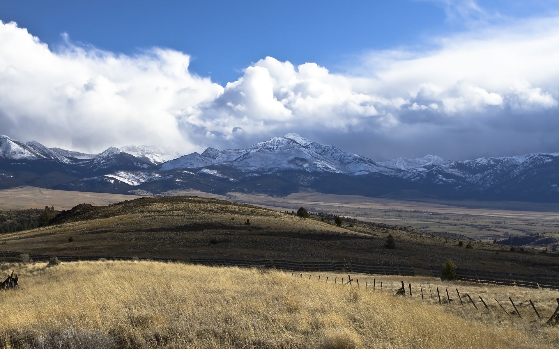 stati uniti oregon montagna di fragole