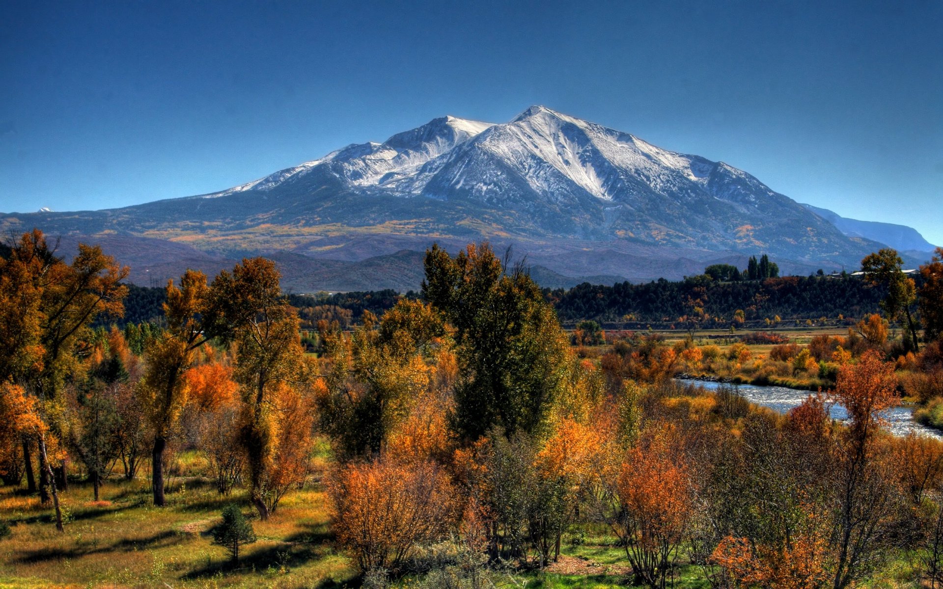 montagna autunno alberi