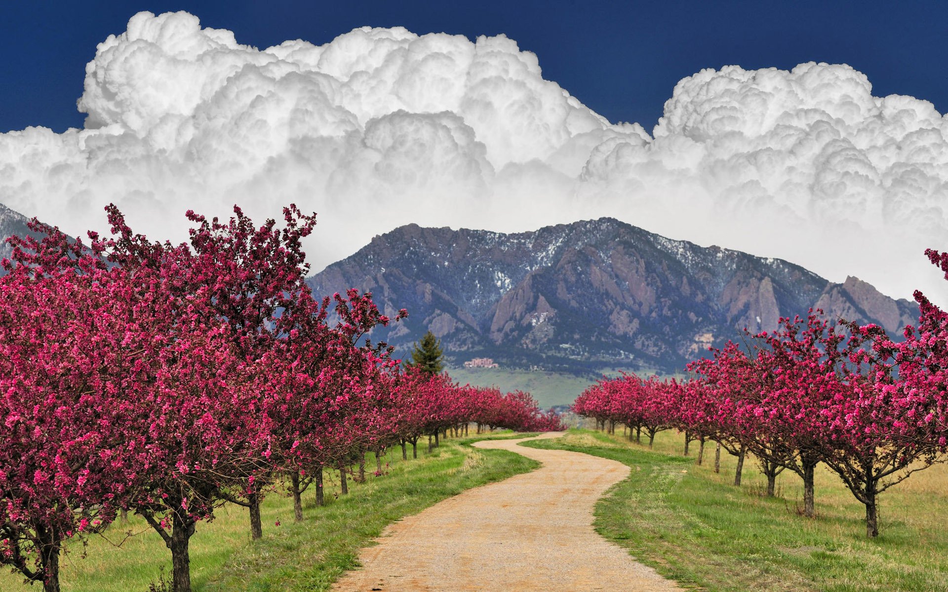 straße wolken himmel berge bäume blühend