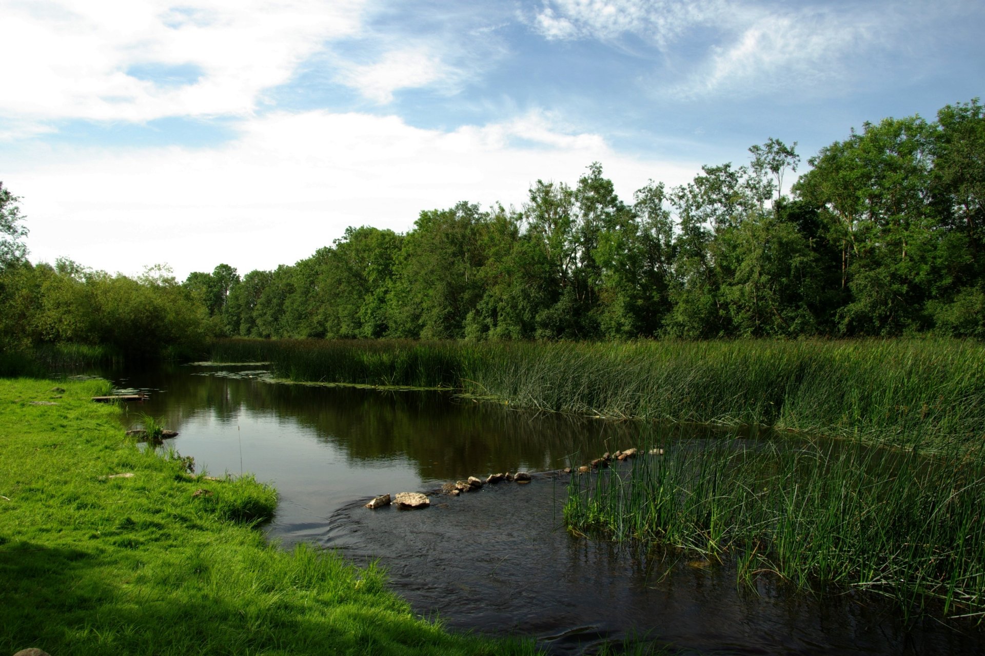 river roll meadow