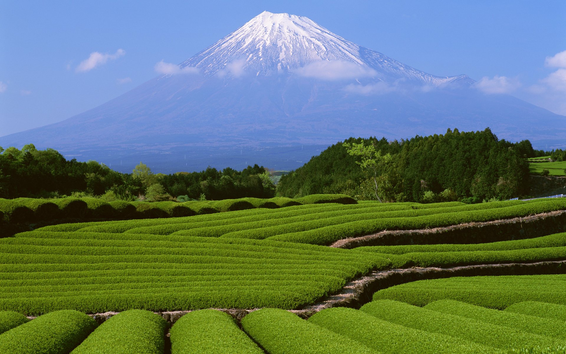 japan berg fuji