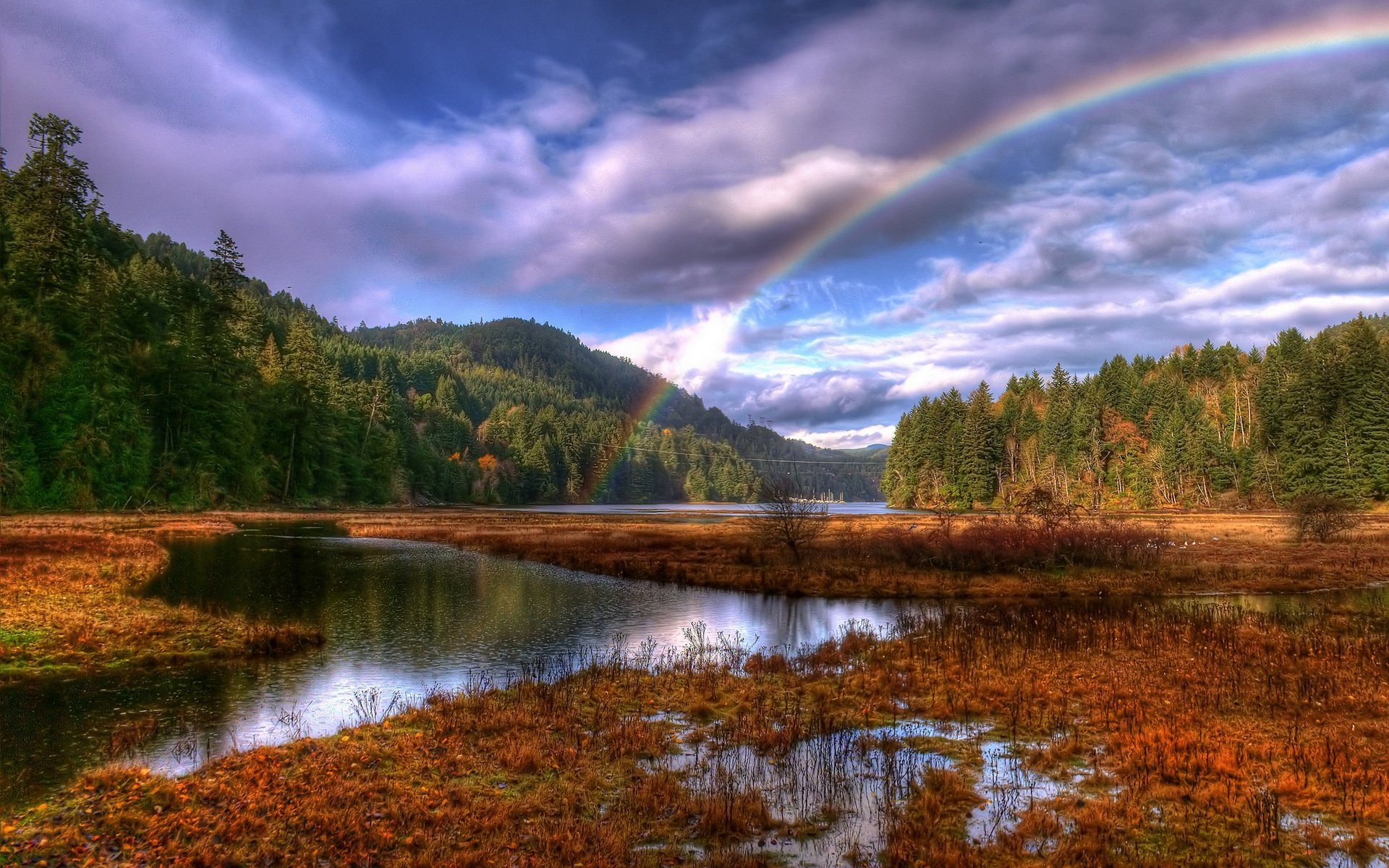 forest rainbow cloud