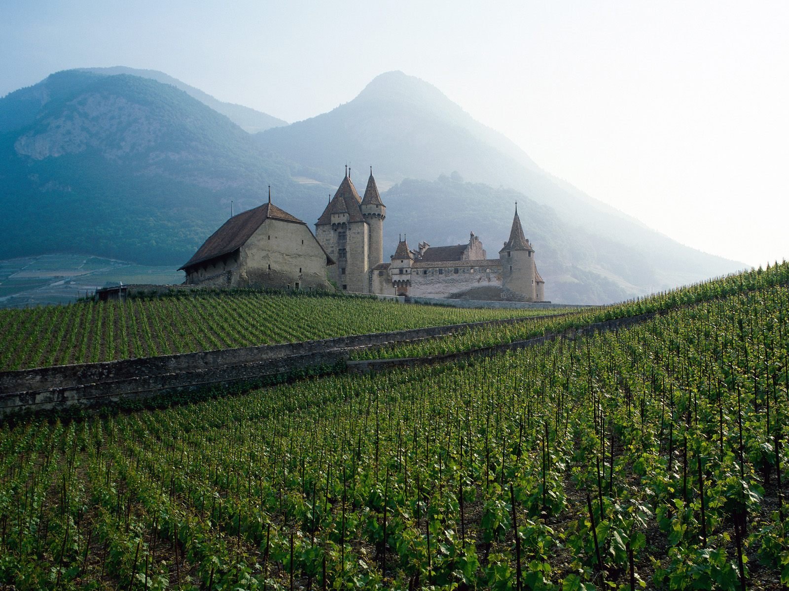 feld schloss berge dal