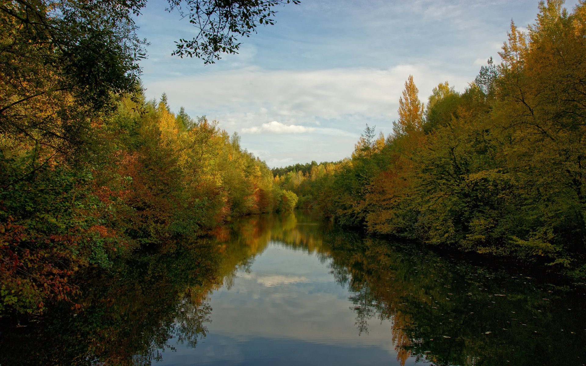 wald wasser bäume wolken