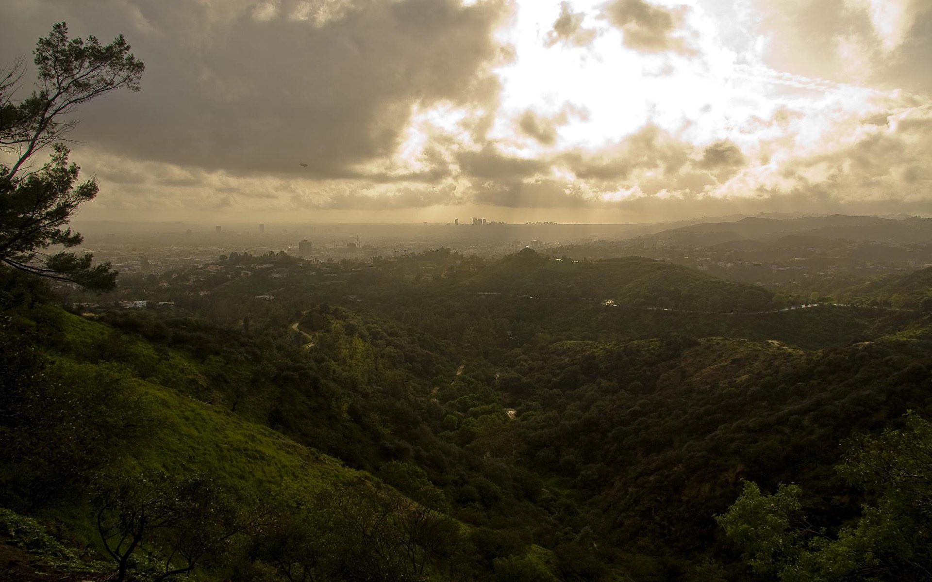 los ángeles parque griffith vegetación nubes