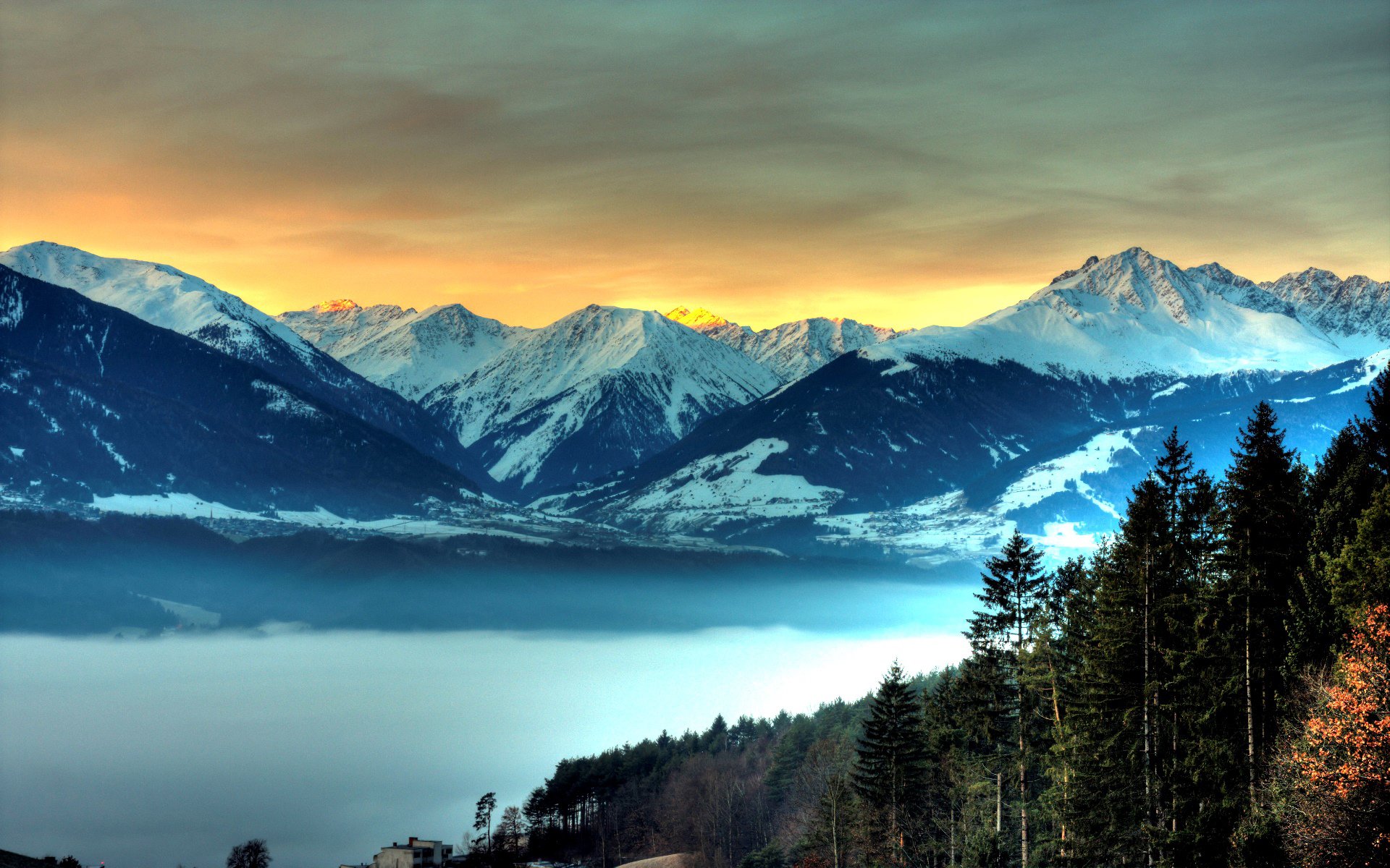 forest mountain sky