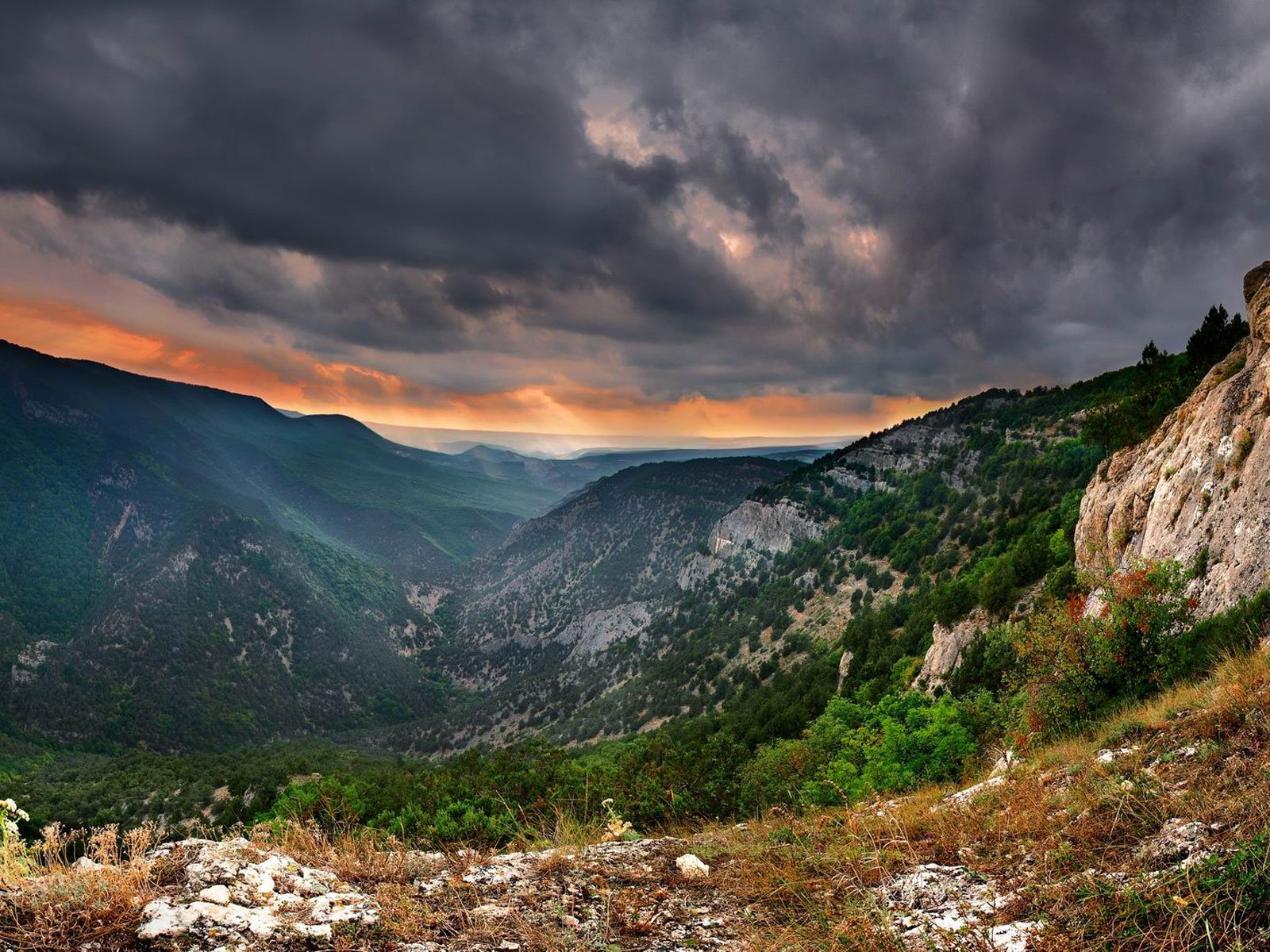 crimea mountain tree lead sky