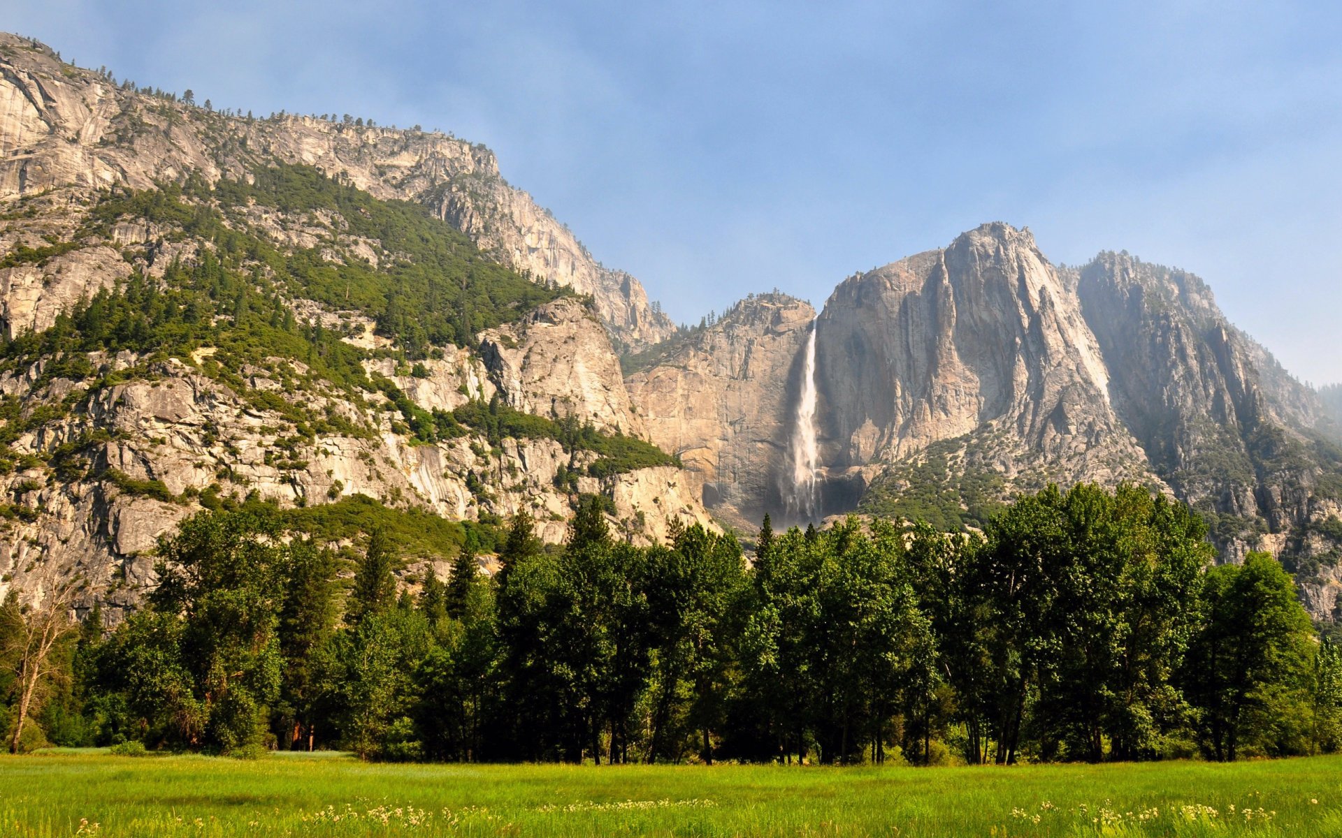 foresta montagne yosemite stati uniti california