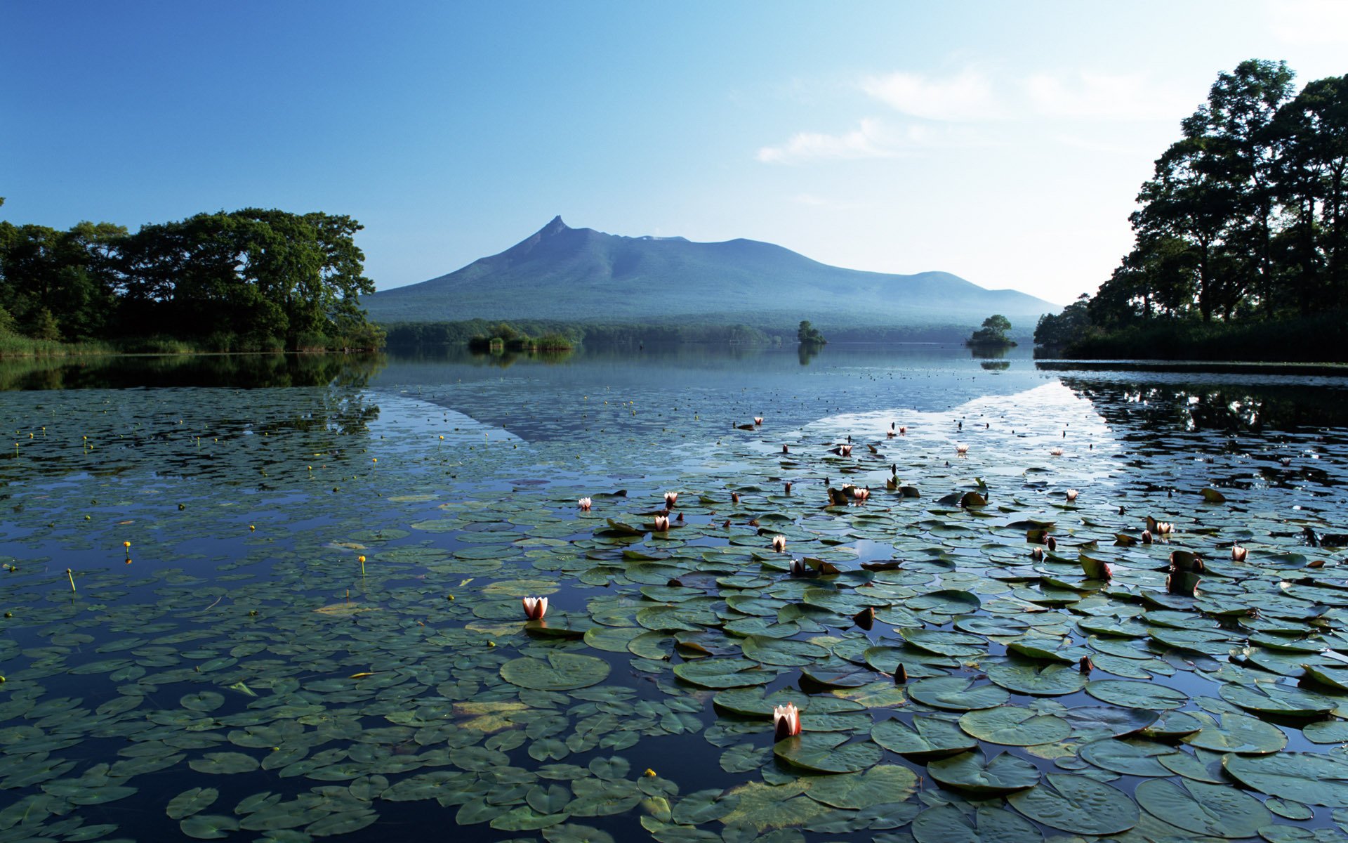 lago montañas lirios silencio