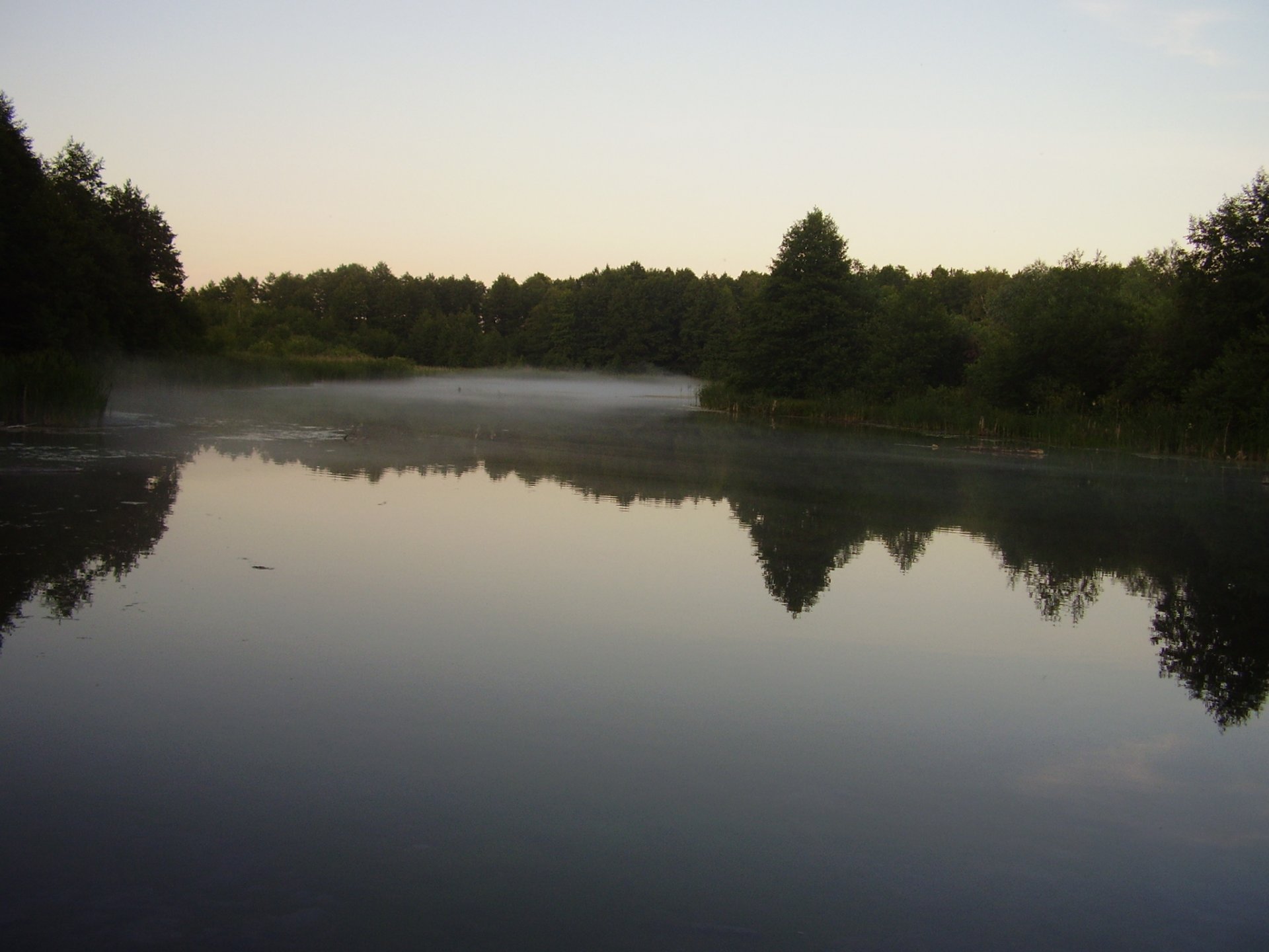 landschaft natur wald see