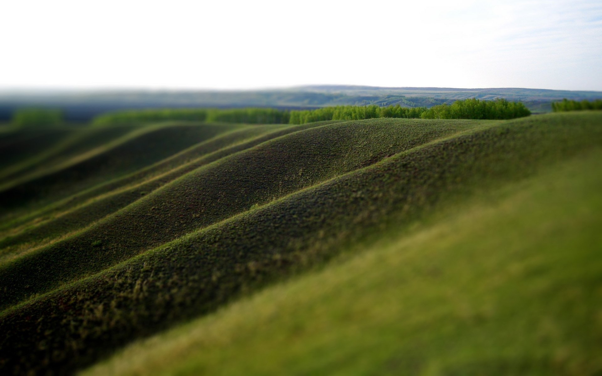 pente de la vallée verdure