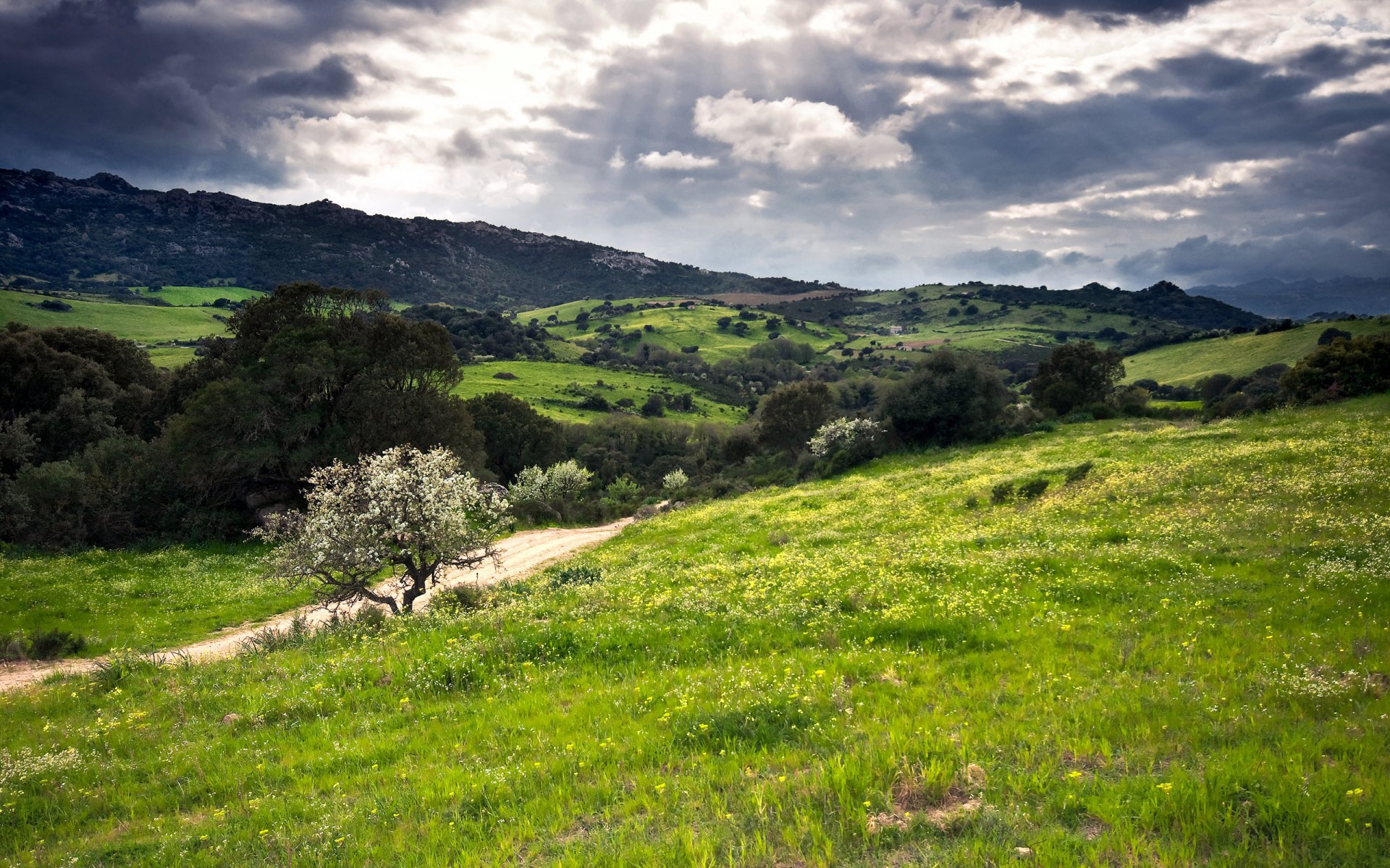 hügel grün sardinien italien